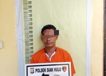 Ingin Transaksi, Pelaku Narkoba Di Ringkus Polsek Siak Hulu
