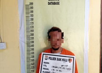 Polsek Siak Hulu Tangkap Seorang Tersangka Diduga Pengedar Narkoba di Kubang Jaya