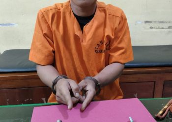 Curi Sepeda Motor di Mushallah, Pelaku di Tangkap Polsek Siak Hulu