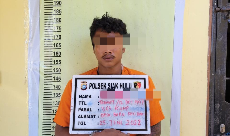 Pembobol Sekolah Pesantren Baitul Ilmi di Ringkus Polsek Siak Hulu, Satu Orang DPO