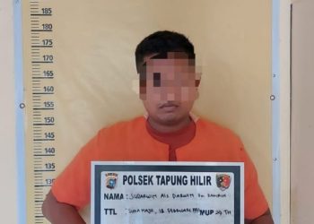 Tipu Peternak Sapi Hingga Ratusan Juta Rupiah, Pelaku Diringkus Polsek Tapung Hilir