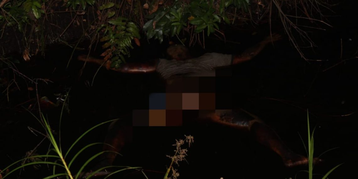 Tidak Utuh Lagi, Mayat Pria Tanpa Identitas di Temukan di Parit Gajah