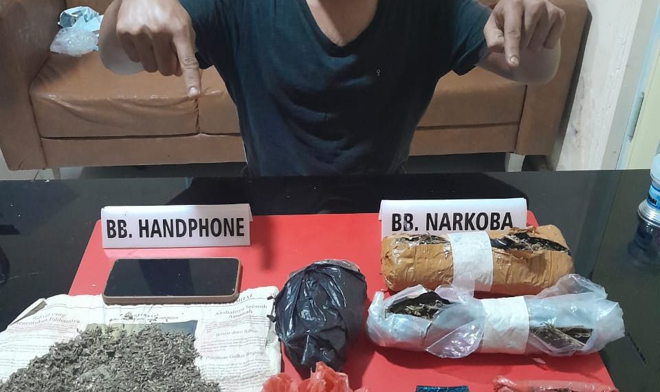 Nunggu Pembeli di Jalan, Waga Sungai Pagar di Ringkus Satnarkoba Polres Kampar