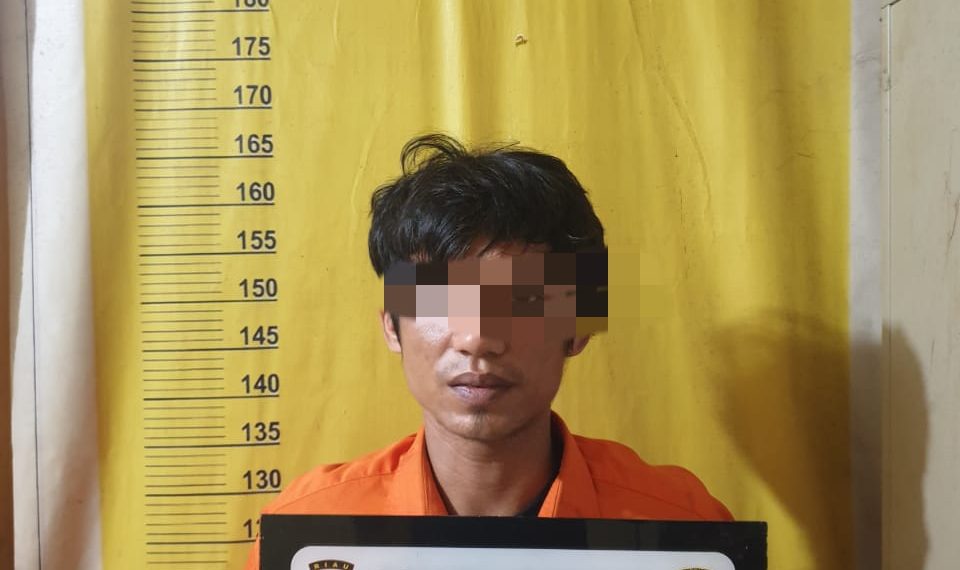 Polsek Tambang di Back Up Sat Reskrim Polres kampar Tangkap Pelaku Pembunuhnya
