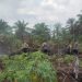 Polsek Tambang Berjibaku Memadamkan Karhutla di Desa Tarai Bangun