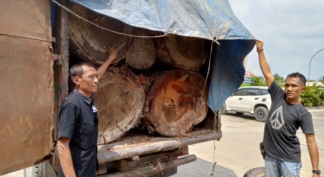 Polsek Kampar Kiri Tangkap Mobil Bermuatan Kayu Ilegalloging di Desa Lipat Kain