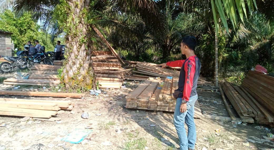 Kembali, Kapolsek Kampar Kiri Tangkap Kayu Pecahan Tidak Bertuan
