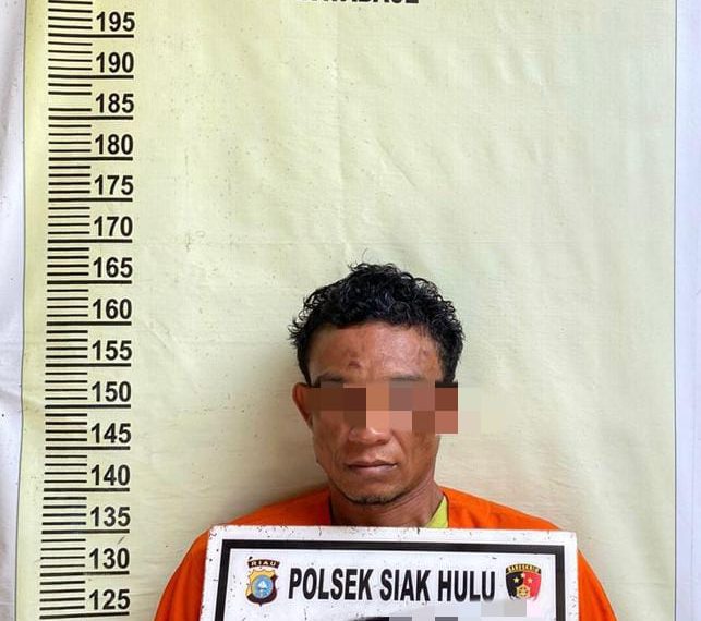 Polsek Siak Hulu Tangkap Pelaku Narkoba Jenis Pil Extasi Merk Youtobe