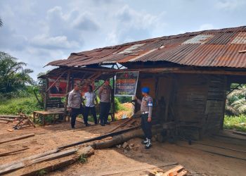 Gerak Cepat, Polsek Kampar Kiri Hilir Langsung Cek Laporan Tentang Maraknya Ilegal Logging