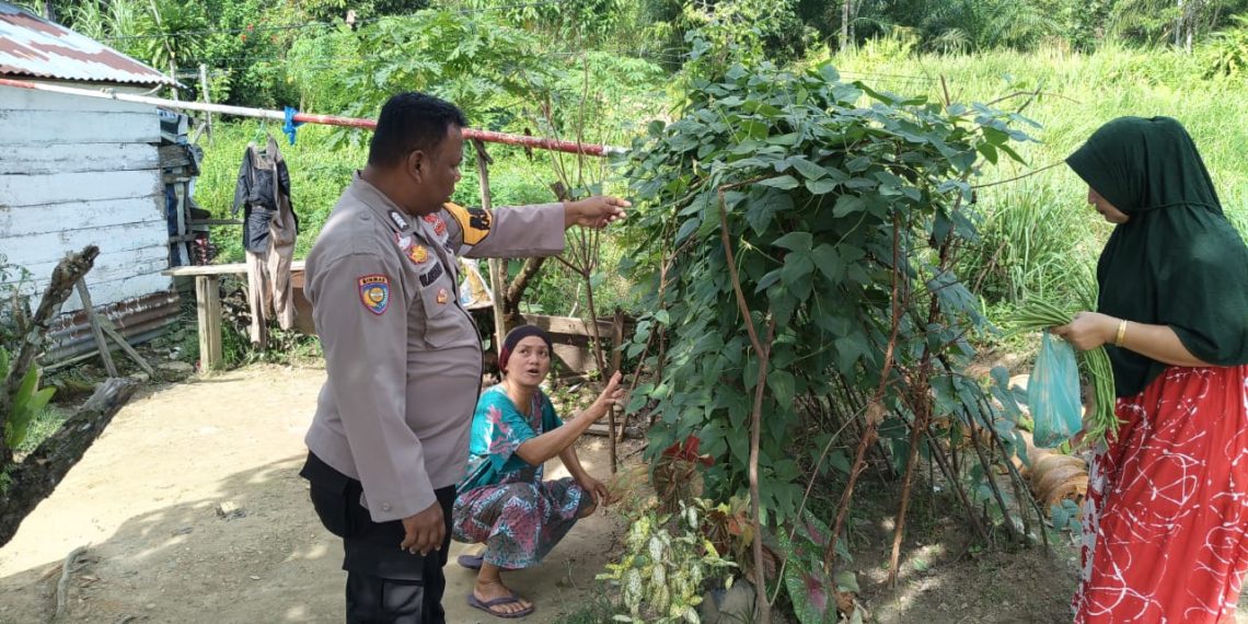 “Asta Cita” dan “Polisi Peduli”, Bripka Wawan Asroy Harahap Wujudkan Ketahanan Pangan di Desa Merangin