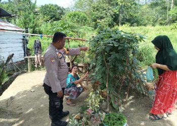 “Asta Cita” dan “Polisi Peduli”, Bripka Wawan Asroy Harahap Wujudkan Ketahanan Pangan di Desa Merangin