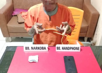 Polres Kampar Bekuk Pengedar Ganja di Bangkinang, Amankan 2,69 Gram Barang Bukti