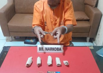 “Tim Ojoloyo Satresnarkoba Polres Kampar Ciduk Pengedar Ganja di Pekanbaru, Amankan 25,40 Gram Barang Bukti”