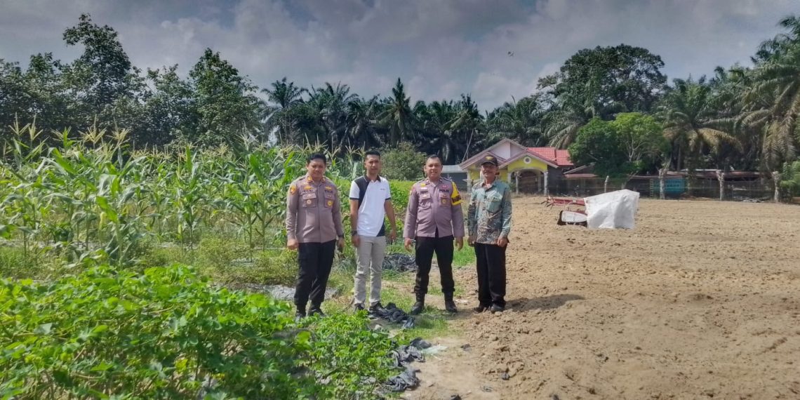 Kapolsek Tapung Hilir Semangati Warga Desa Cinta Damai, Dukung Ketahanan Pangan di Lahan Desa!