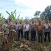 Panen Jagung Pipil Kuartal I Berhasil Dilaksanakan, Polsek Tapung Hilir Dukung Program Ketahanan Pangan Desa Kota Bangun