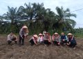 Polsek Tapung Garap 1,5 Hectar Lahan Untuk Penanaman Jagung Kuartal Ii, Dukung Swasmbada Pangan Desa Bencah Kelubi