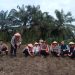 Polsek Tapung Garap 1,5 Hectar Lahan Untuk Penanaman Jagung Kuartal Ii, Dukung Swasmbada Pangan Desa Bencah Kelubi