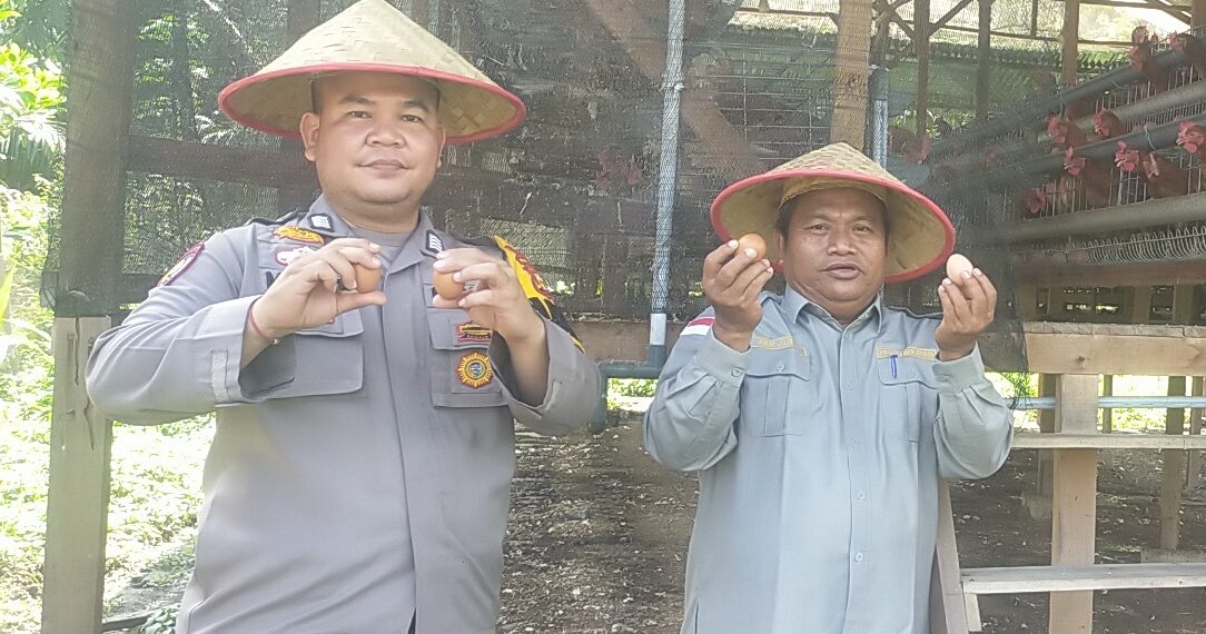 POLSEK KAMPAR KIRI HILIR GELAR PROGRAM P2B DI DESA PENGHIDUPAN – BUAT KANDANG AYAM PETELUR UNTUK KETAHTANAN PANGAN BERGIZI”