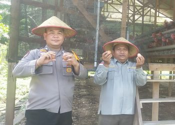 POLSEK KAMPAR KIRI HILIR GELAR PROGRAM P2B DI DESA PENGHIDUPAN – BUAT KANDANG AYAM PETELUR UNTUK KETAHTANAN PANGAN BERGIZI”