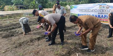 “Bersama Kelompok Tani Harapan Makmur, Polsek Perhentian Raja Tanam Jagung Pipil untuk Swasembada Pangan”