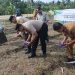 “Bersama Kelompok Tani Harapan Makmur, Polsek Perhentian Raja Tanam Jagung Pipil untuk Swasembada Pangan”