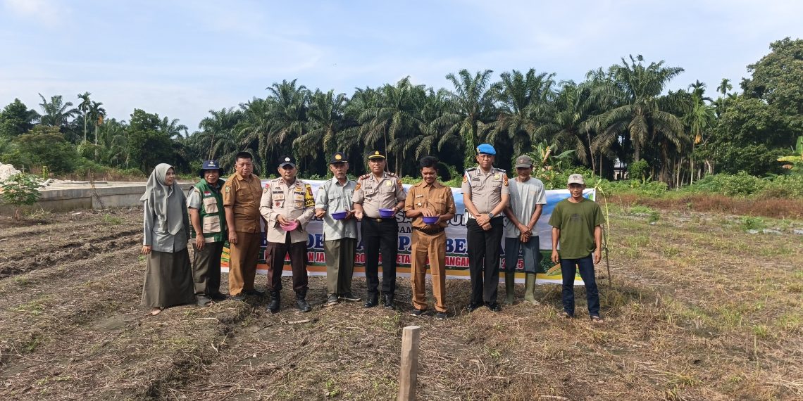 “Polsek Perhentian Raja Dukung Swasembada Pangan – Tanam Jagung Pipil Bisi 2 Siap Panen September 2026”