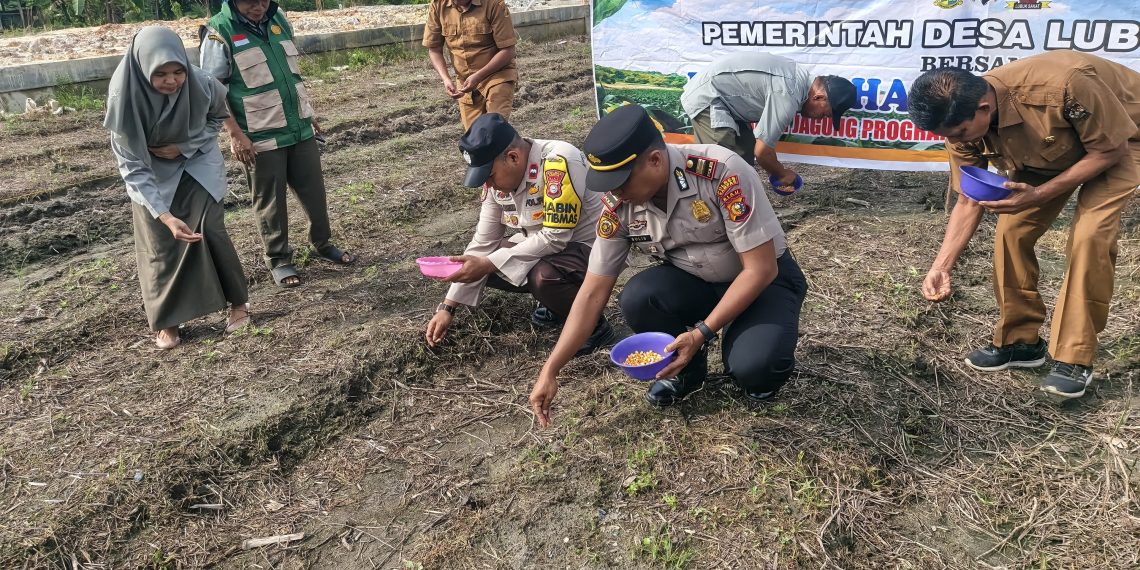 Polsek Perhentian Raja Garap 0,5 Hectare Lahan Untuk Penanaman Jagung Pipil – Dukung Swasembada Pangan 2026 Bersama Kelompok Tani”