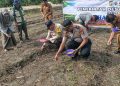 Polsek Perhentian Raja Garap 0,5 Hectare Lahan Untuk Penanaman Jagung Pipil – Dukung Swasembada Pangan 2026 Bersama Kelompok Tani”