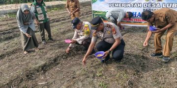 Polsek Perhentian Raja Garap 0,5 Hectare Lahan Untuk Penanaman Jagung Pipil – Dukung Swasembada Pangan 2026 Bersama Kelompok Tani”