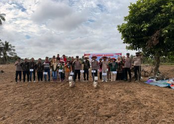 POLSEK CERENTI PIMPIN PENANAMAN JAGUNG – LAHAN KOSONG JADI PRODUKTIF UNTUK KESEJAHTERAAN MASYARAKAT”
