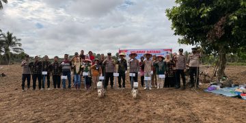 POLSEK CERENTI PIMPIN PENANAMAN JAGUNG – LAHAN KOSONG JADI PRODUKTIF UNTUK KESEJAHTERAAN MASYARAKAT”
