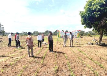 SINERGI POLRI & PEMDA KUANSING – PENGECEKAN LAHAN KETAHTANAN PANGAN DI DESA SIKAKAK”