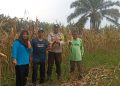 PROGRAM ASTA CITA PRESIDEN TERWUJUD – PANEN RAYA JAGUNG DESA GIRI SAKO MERIAHKAN”
