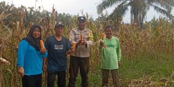 PROGRAM ASTA CITA PRESIDEN TERWUJUD – PANEN RAYA JAGUNG DESA GIRI SAKO MERIAHKAN”