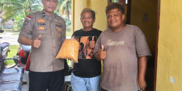 “POLSEK TAPUNG SERAHKAN 15 KG BENIH JAGUNG LAMURU – DUKUNG KELOMPOK TANI CITRA MANDIRI TANAMI 1 HECTARE”