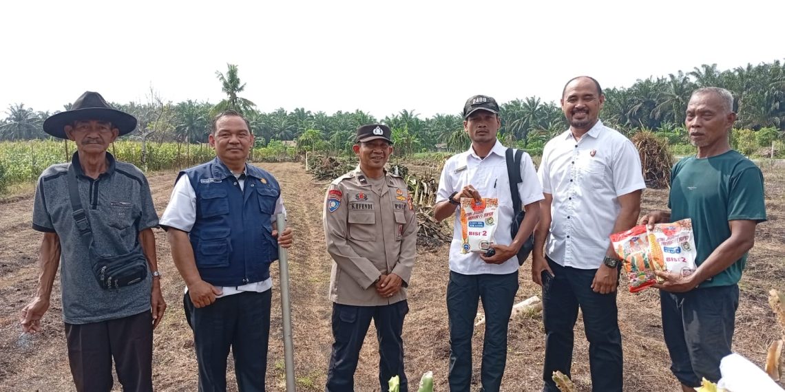 KAPOLSEK KKH HADIR PENANAMAN JAGUNG PIPIL TUMPANG SARI – 0,5 HECTARE LAHAN DUKUNG KETAHTANAN PANGAN”