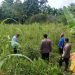 Tak Kenal Lelah Kapolsek Tapung Melakukan Pengecekan Lahan Untuk Penanaman Jagung Pipil
