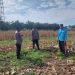 POLSEK TAPUNG DUKUNG SWASEMBADA PANGAN MELALUI PENGECEKAN LAHAN JAGUNG PIPIL DI DESA INDRAPURI