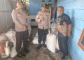 POLRES KAMPAR KEMBALI DUKUNG PETANI – 43 KARUNG JAGUNG PIPIL DITERIMA BULOG DENGAN KADAR AIR IDEAL”