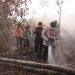 Kapolres Kampar Pimpin Langsung Operasi Pemadaman Karhutla di Rimbo Panjang: 70 Personel Gabungan Berhasil Padamkan Api di Lahan Gambut 1 Hektar