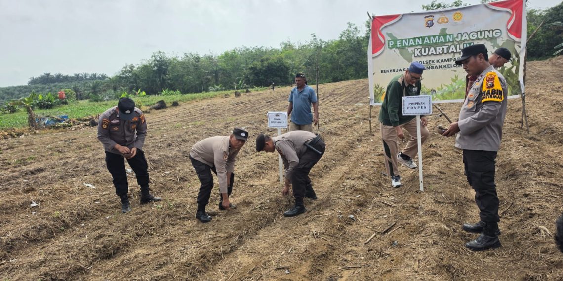 Wujud Polisi Bersama Masyarakat, Polsek Kampar Kiri Dukung Gerakan Ketahanan Pangan Desa Lipat Kain Selatan